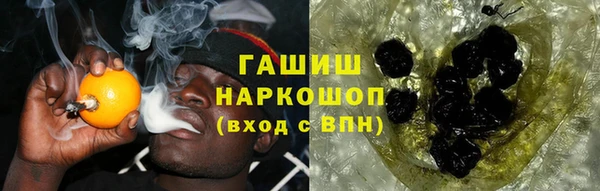 сатива Абаза