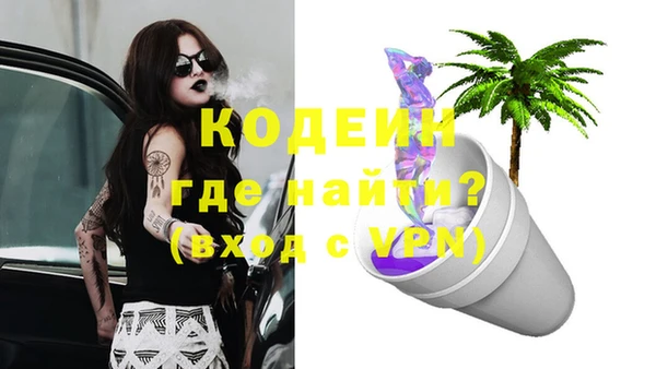 сатива Абаза