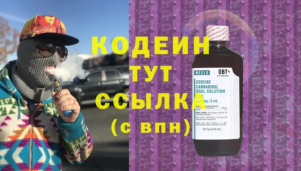 сатива Абаза