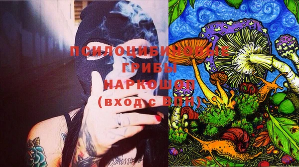 сатива Абаза