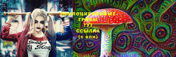 сатива Абаза