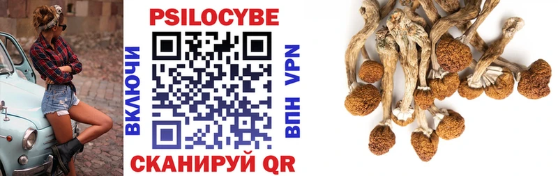 Псилоцибиновые грибы прущие грибы  дарнет шоп  Лебедянь 
